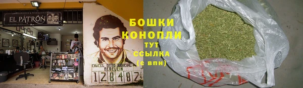 apvp Аркадак