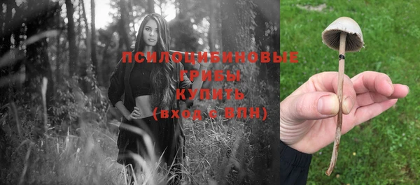 ешки Армянск